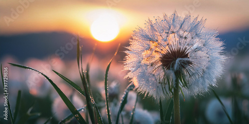 AI generated illustration of a dandelion with sunset backdrop in vast field