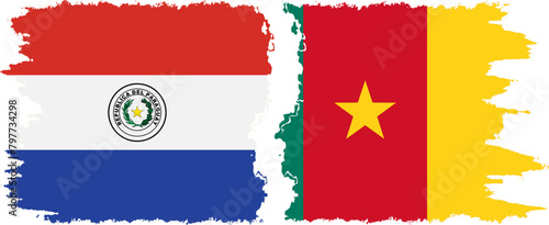 Cameroon and Paraguay grunge flags connection vector