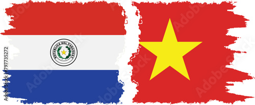 Vietnam and Paraguay grunge flags connection vector