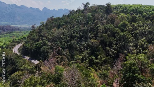 A bird's-eye view of a beautiful road winding through a forest in Songklaburi, Thailand, offering a scenic drive amidst lush greenery. photo