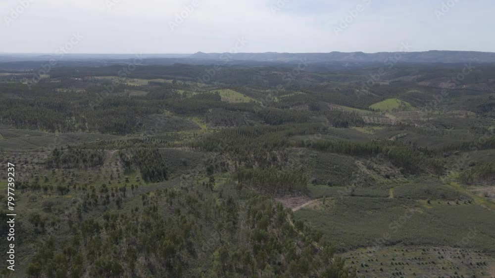 Aerial view of Proença a Nova landscape. Drone moving forwards over the trees and some dirty roads. Blue sky with some clouds in the background. 4K, 60fps Aerial view of Proença a Nova landscape. Drone moving forwards over the trees and some dirty roads. Blue sky with some clouds in the background. 4K, 60fps