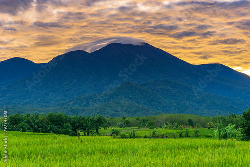 beautiful morning view from Indonesia of mountains and tropical forest