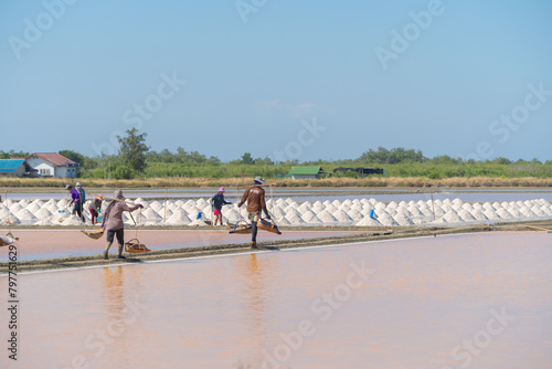 Farmers making heaps of raw sea salt piles with sea. Farm field outdoor. Nature material in traditional salt industry in Thailand. Asia culture. Agriculture lifestyle people.