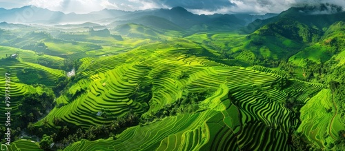 The beautiful view of the green terraced mountain rice fields from above. Generated AI image