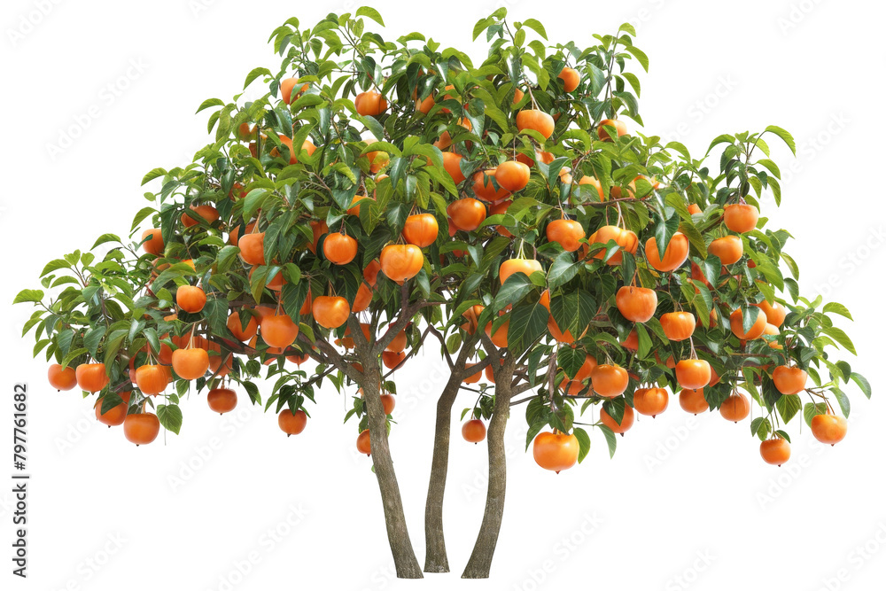 Plump oranges hanging from a vibrant orange tree in a lush, fruitful grove