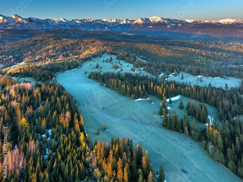 Wspaniała panorama Tatr Bielskich i okolicznych lasów widziana z drona mavic 3 classic (ID: 797762074)