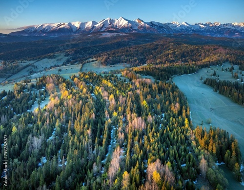Wspaniała panorama Tatr Bielskich i okolicznych lasów widziana z drona mavic 3 classic (ID: 797762077)