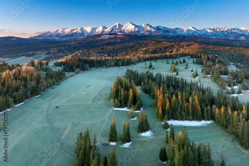 Wspaniała panorama Tatr Bielskich i okolicznych lasów widziana z drona mavic 3 classic (ID: 797762078)