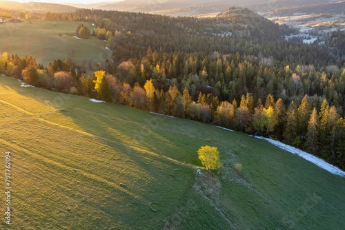 Panorama lasów i łąk w Tatrach w okolicach Łapszanki o poranku z promieniami słońca (ID: 797762094)