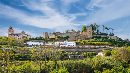 Jerez de los Caballeros Castle and Citadel, Badajoz photo