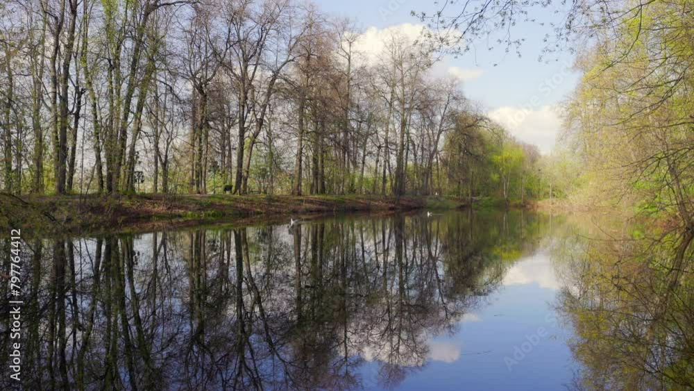 A serene forest lake surrounded by tall trees reflecting on the calm water surface with a clear blue sky and fluffy clouds above A serene forest lake surrounded by tall trees reflecting on the calm water surface with a clear blue sky and fluffy clouds above