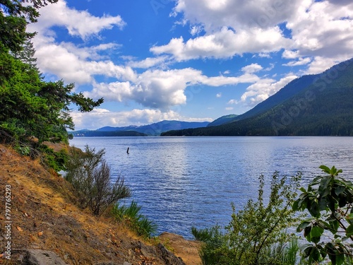 Lake Cushman and the Olympic Mountains