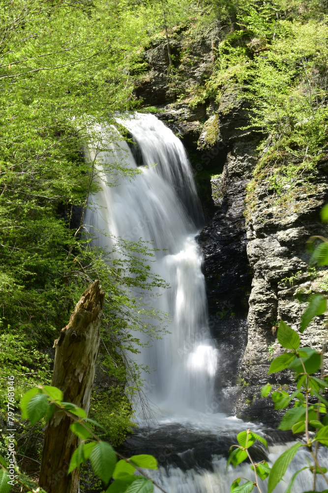 Obraz premium waterfall in the forest