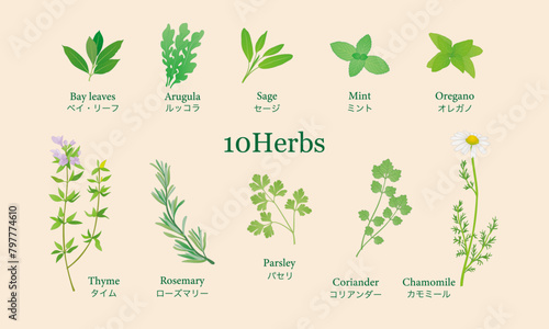 ハーブ10種