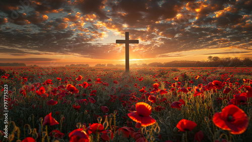 The cross in the midst. Field of red poppies at sunrise