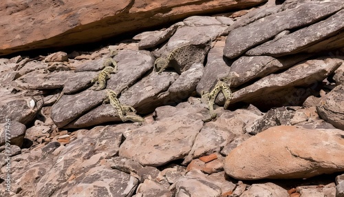 Lizards Exploring A Rocky Landscape With Crevices