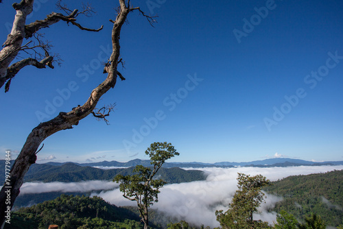 High-angle landscape mountains, fog, bright sky. There is space for text.