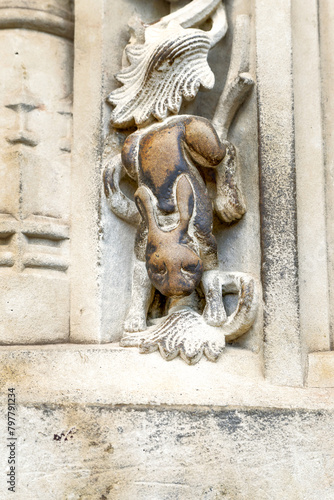 Lucky rabbit in the New Cathedral of Salamanca, Spain. photo