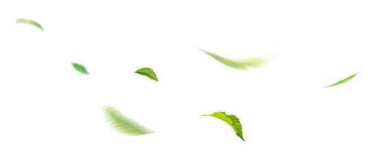 Green Floating Leaves Flying Leaves Green Leaf Dancing, Air Purifier Atmosphere Simple Main Picture.