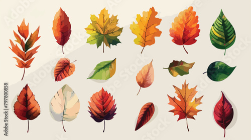 Different autumn leaves on light background Vector illustration photo