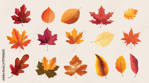 Different autumn leaves on light background Vector illustration
