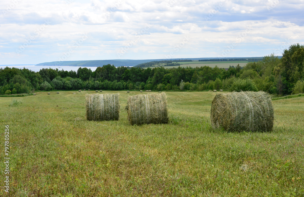 a green field with hay bales with the view of river in the background