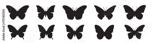 Flying butterflies silhouette black set isolated on white background  photo