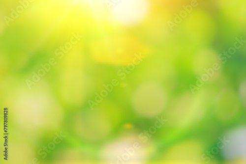 Green nature in spring eco garden. Summer abstract blur background. Bright shiny tree leaves. Ray light focus bokeh Soft good woods plant. Sunny sky foliage park grass. Warm gold colorful sun day beam