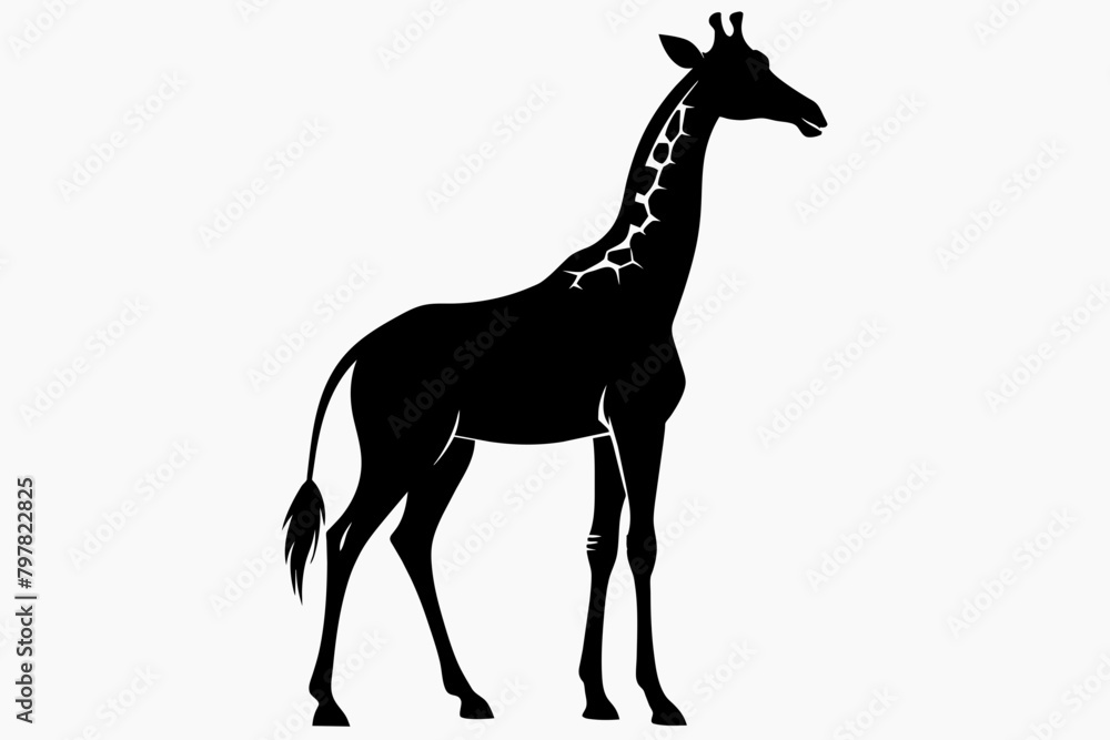 Fototapeta premium black Giraffe silhouette vector illustration on white background