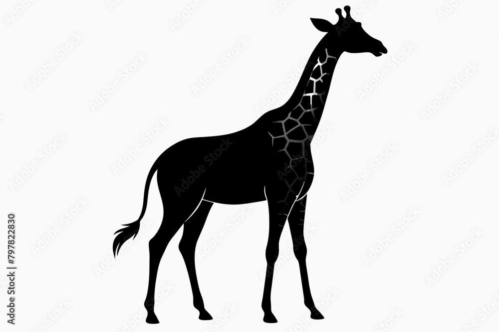 Obraz premium black Giraffe silhouette vector illustration on white background