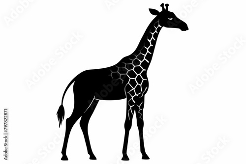 black Giraffe silhouette vector illustration on white background photo