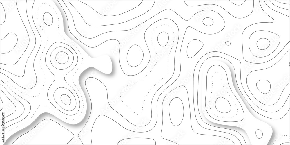 Fototapeta premium Abstract lines background. Contour maps. Vector illustration. The stylized height of the topographic map contour in lines and contours isolated on transparent. technology topo landscape grid map text