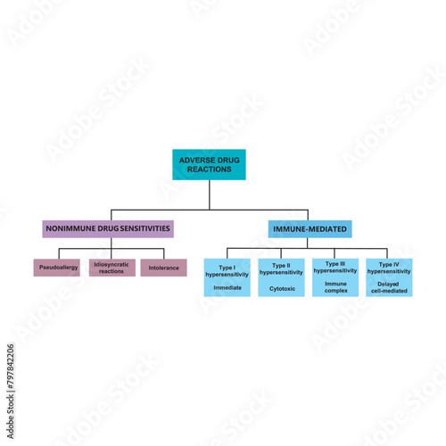 Diagram showing types of adverse drug reactions - immune (type I - IV) and non immune. Scientific medical shcematic illustration.