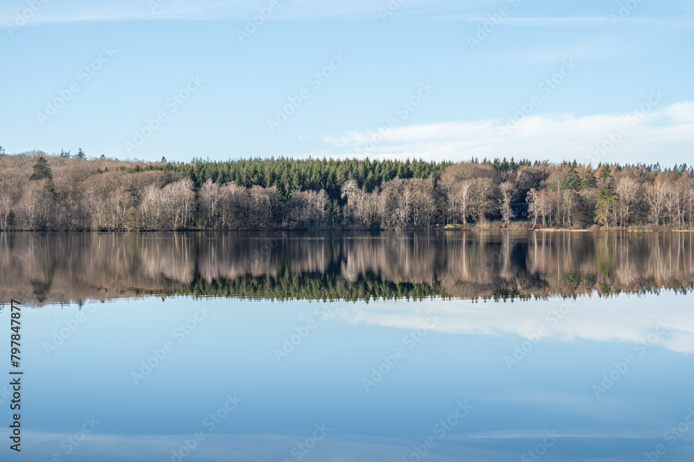 Mirror reflection of forest on lake surface
