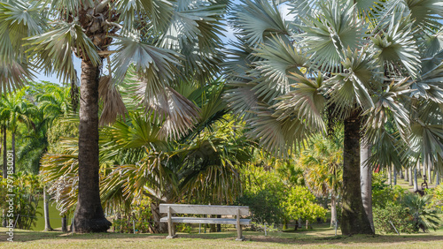 Jardins de l'habitation Clément à la Martinique, Antilles Françaises.
