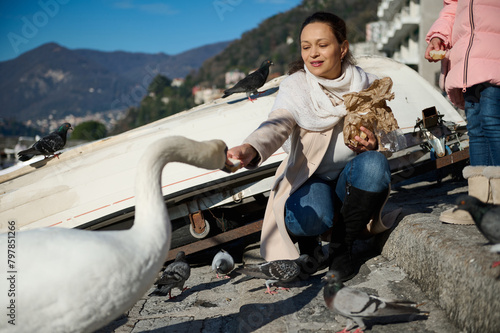 Happy woman feeding white swans on the lake of Como, enjoying a happy weekend outdoors. Italian Alps on the background