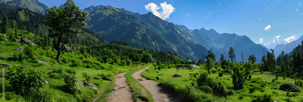 Enthralling Hiking Trail Towards Alpine Peaks Under a Clear Blue Sky: An Adventure Awaits