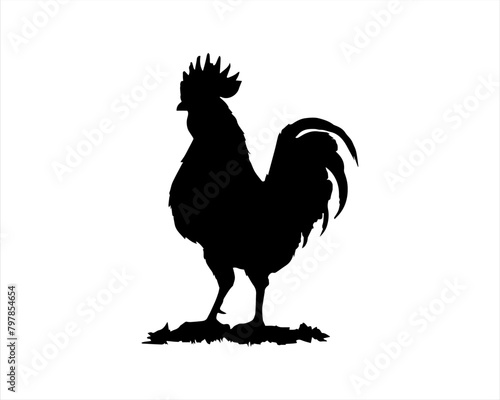 Rooster silhouette illustration on white background. Rooster vector. Rooster icon. Rooster logo.