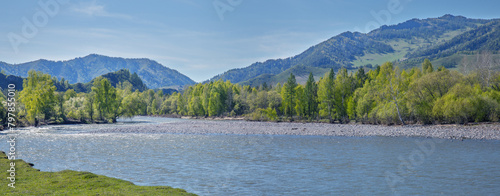 Wild mountain river on a summer day	