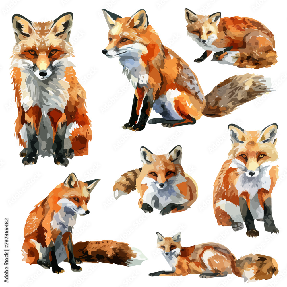 Watercolor Vector painting of fox collection, isolated on a white background, fox vector, fox clipart, fox art, fox painting, fox Graphic, drawing clipart.