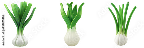 PNG scallion 3d icons and objects collection, in cartoon style minimal on transparent, white background, isolate photo
