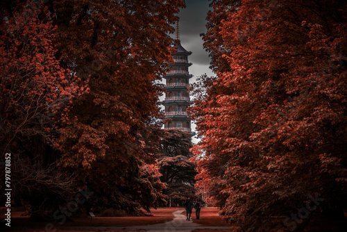 View of the pagoda in autumn