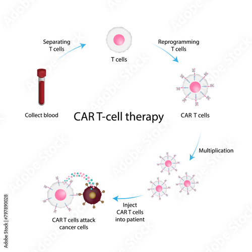 CAR T-cell therapy. Chimeric antigen receptor T cell ,CAR T cell, for use in immunotherapy. Genetic engineering. Chemotherapy. vector illustration.