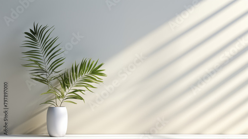 Modern Decor with Parlor Palm in Sleek White Vase