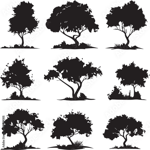 set of trees photo