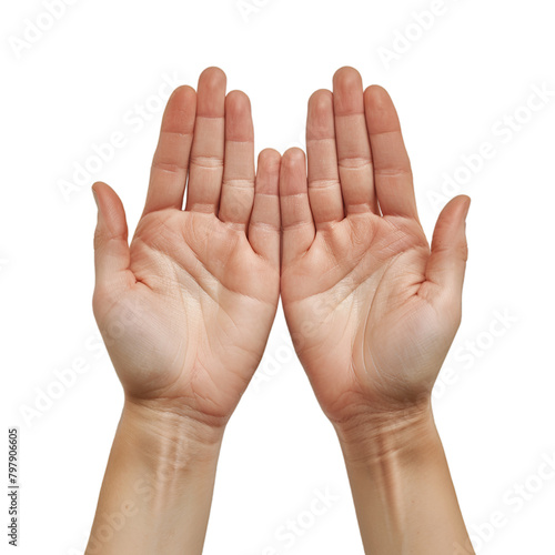 hand gestures on a transparent background