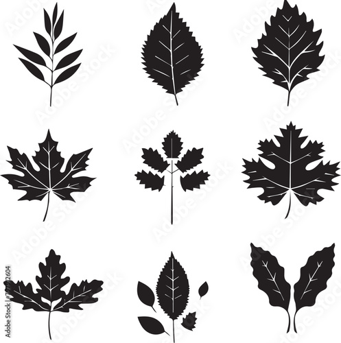 set of leaves silhouettes