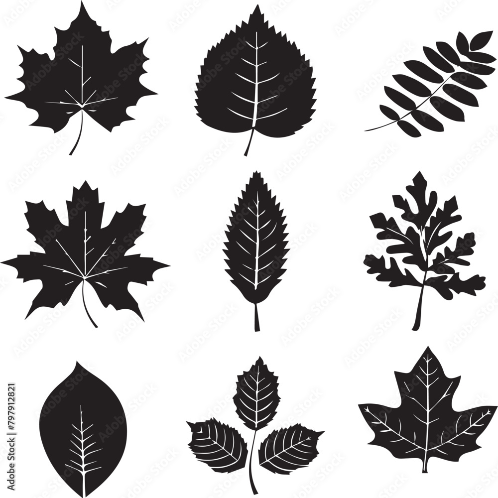 Fototapeta premium set of leaves