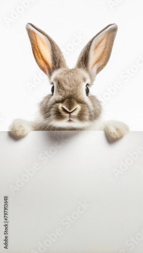 A Cute Easter Rabbit bunny peeking out from behind a white blank mockup,banner,looking at the camera. isolated on a white background. Generative AI © Hulinska Yevheniia