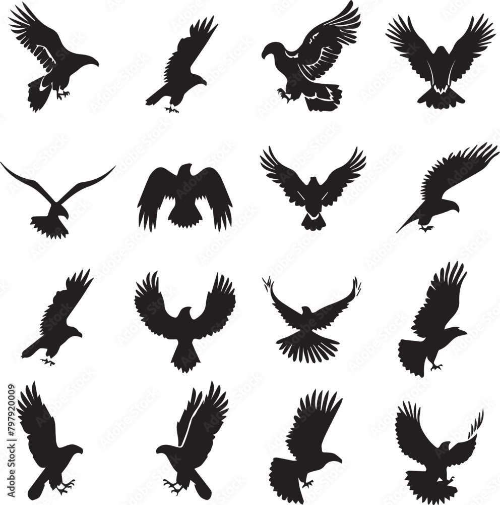 Obraz premium set of eagle